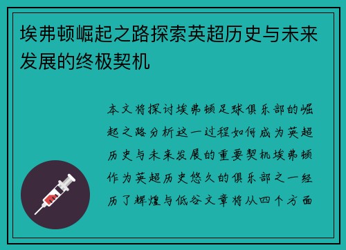 埃弗顿崛起之路探索英超历史与未来发展的终极契机